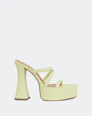 Attitude Cuir Kiwi