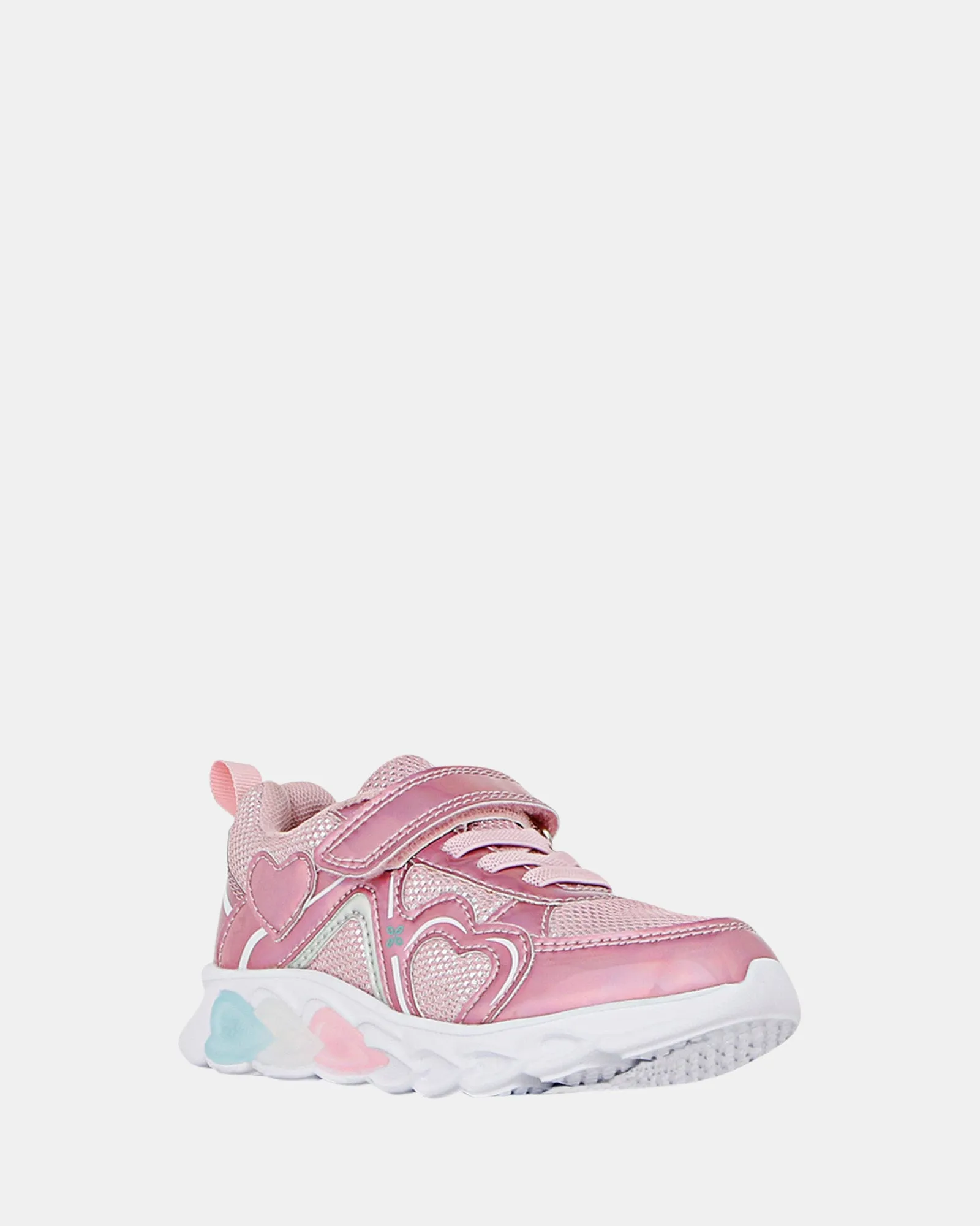 Rose Flamboyant Multi