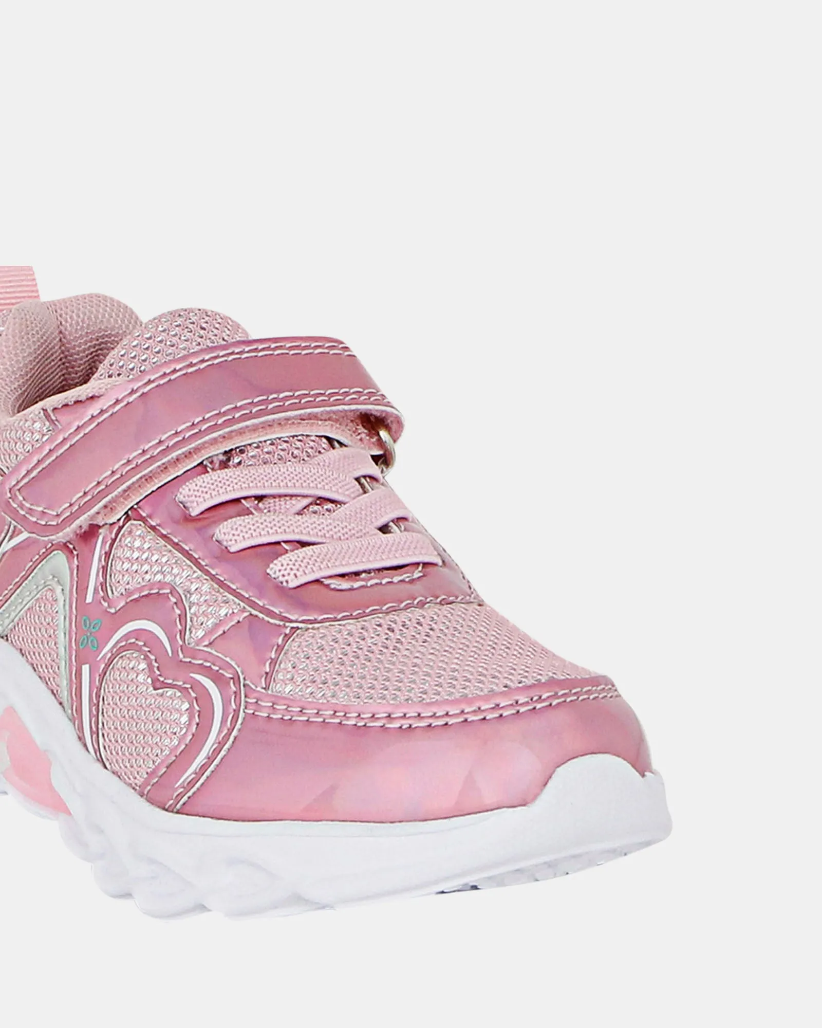 Rose Flamboyant Multi