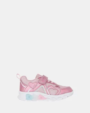 Rose Flamboyant Multi