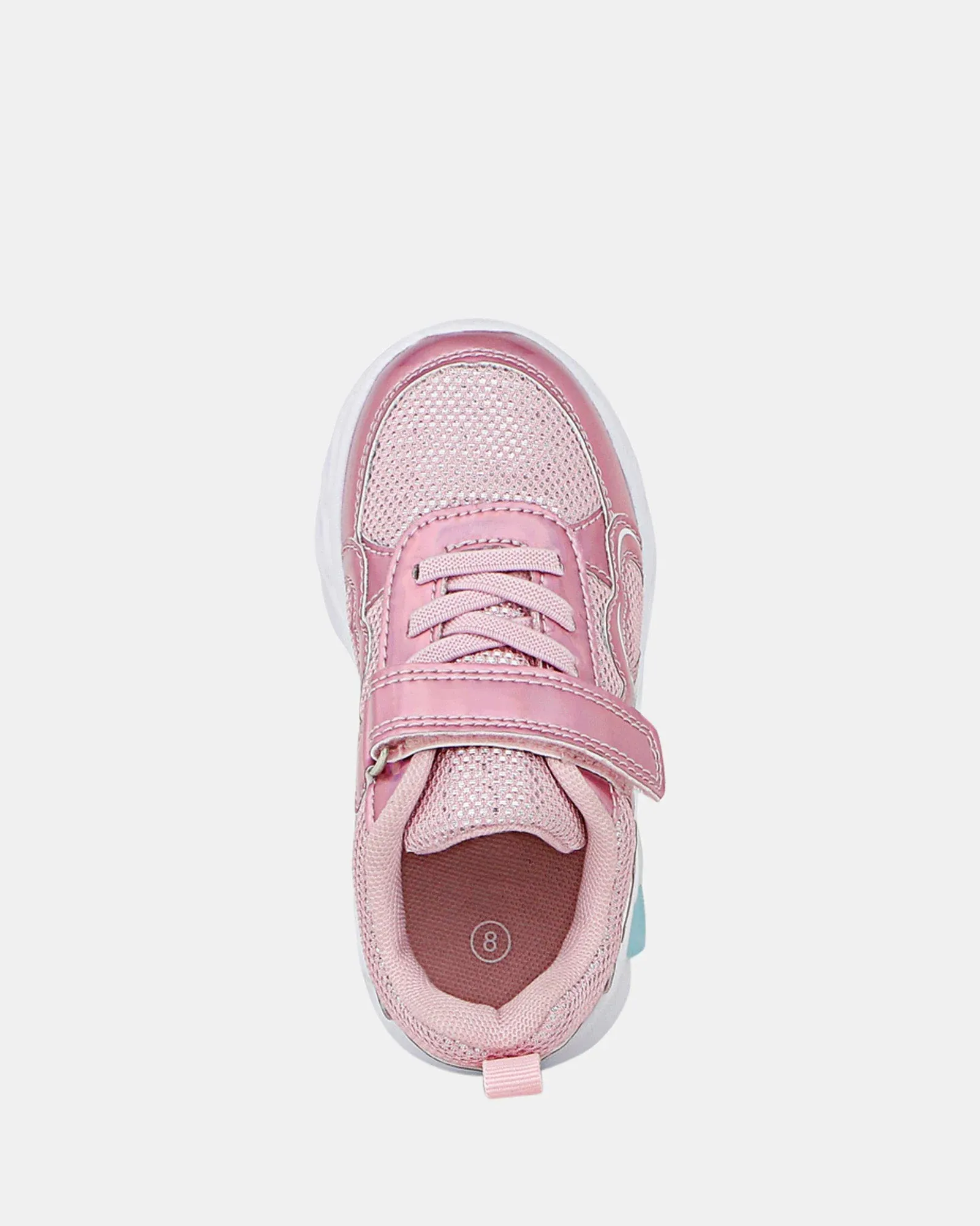 Rose Flamboyant Multi