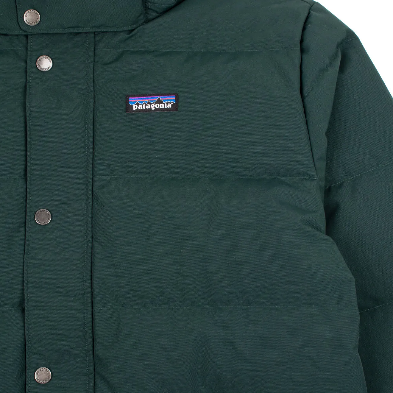 Vêtements Patagonia vestes Homme Veste Patagonia Downdrift Vert Nordique
