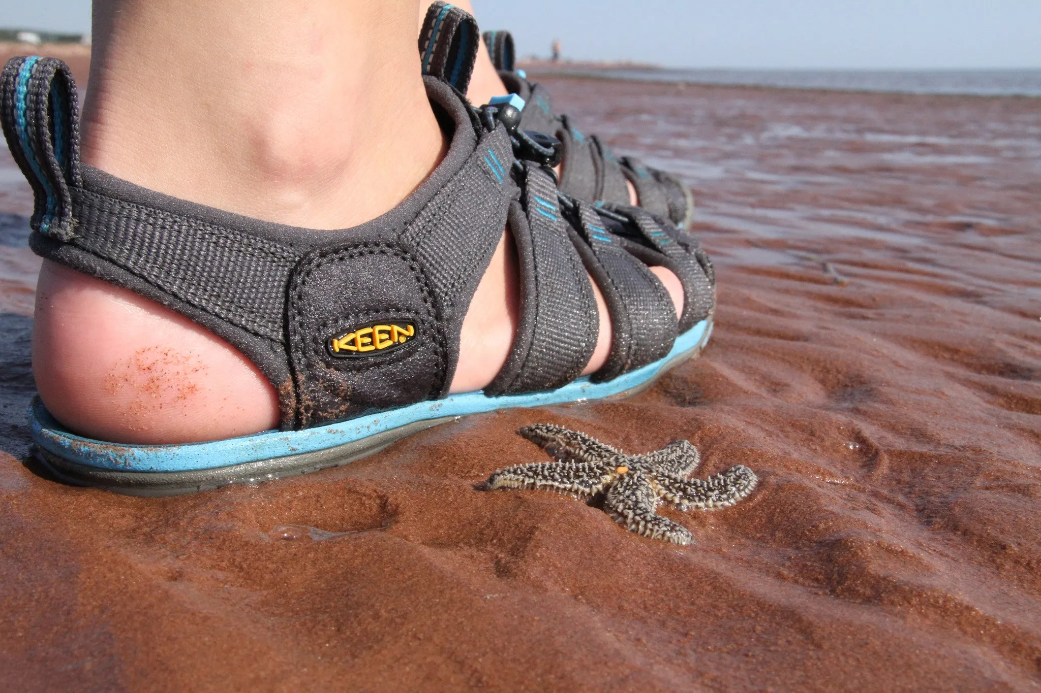 Chaussures KEEN Clearwater CNX pour Homme_Keen_Chaussures de Plein Air