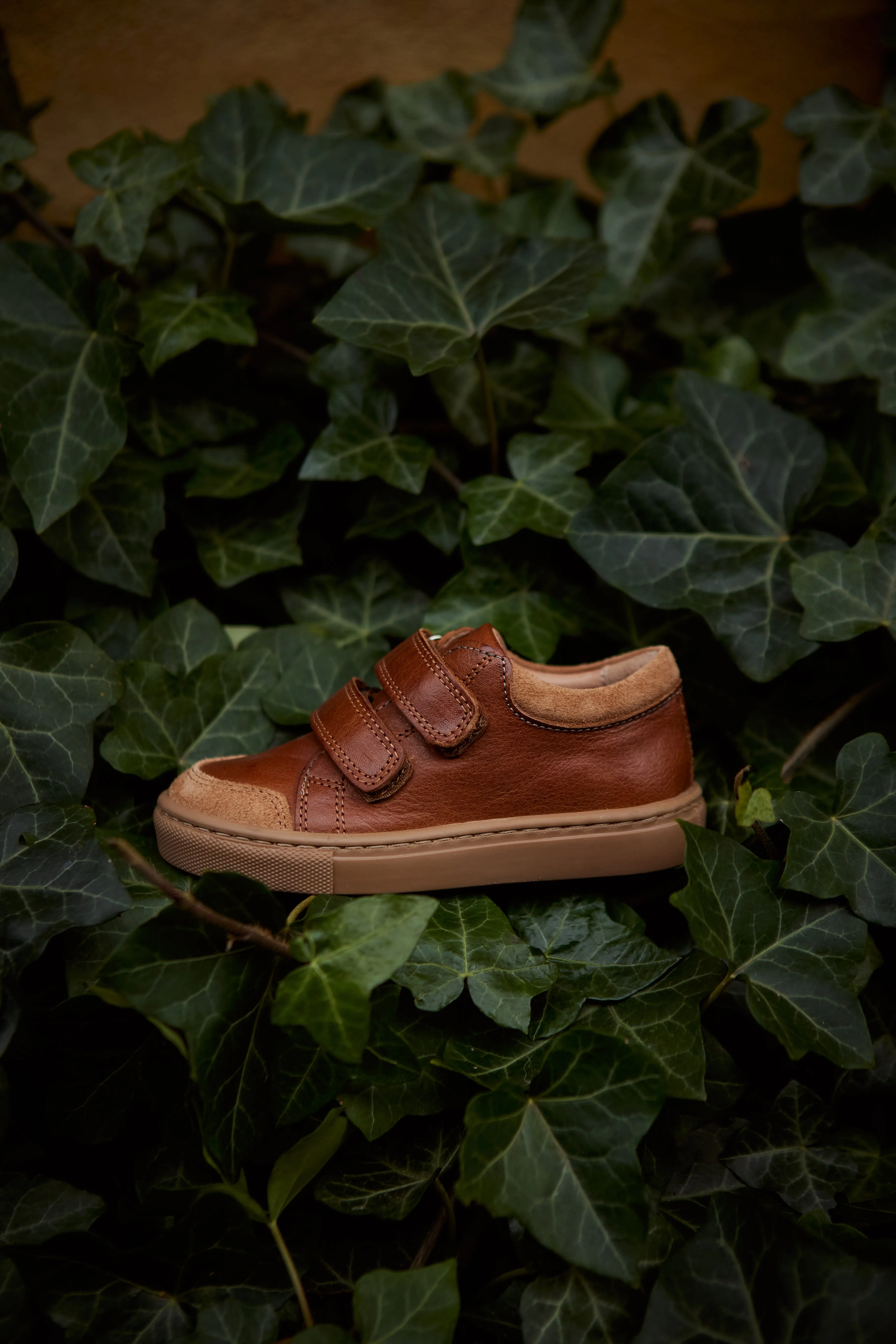 Baskets Basses - Cognac