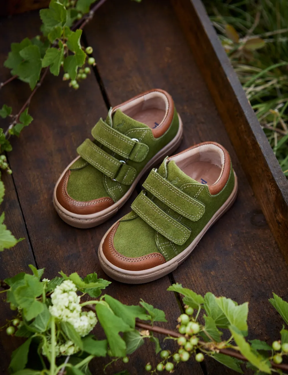 Baskets Basses - Herbe