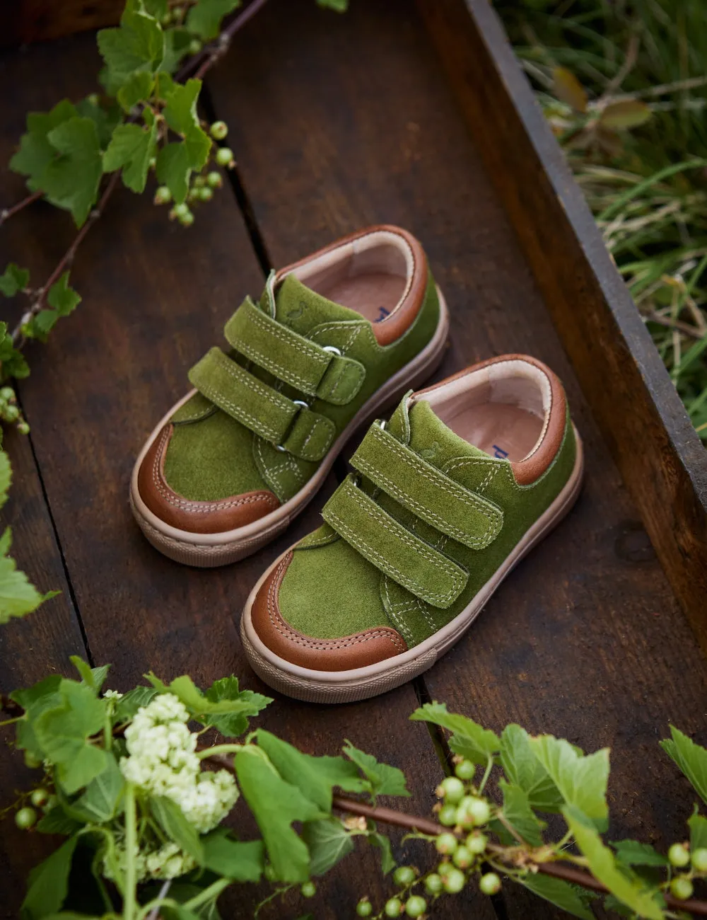 Baskets Basses - Herbe