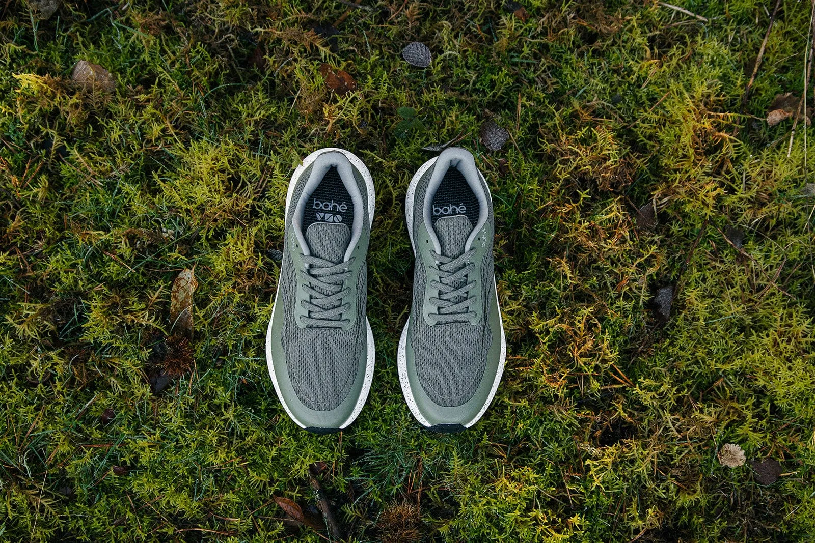 Chaussures de sport véganes pour hommes Recharge Grounding | Forêt