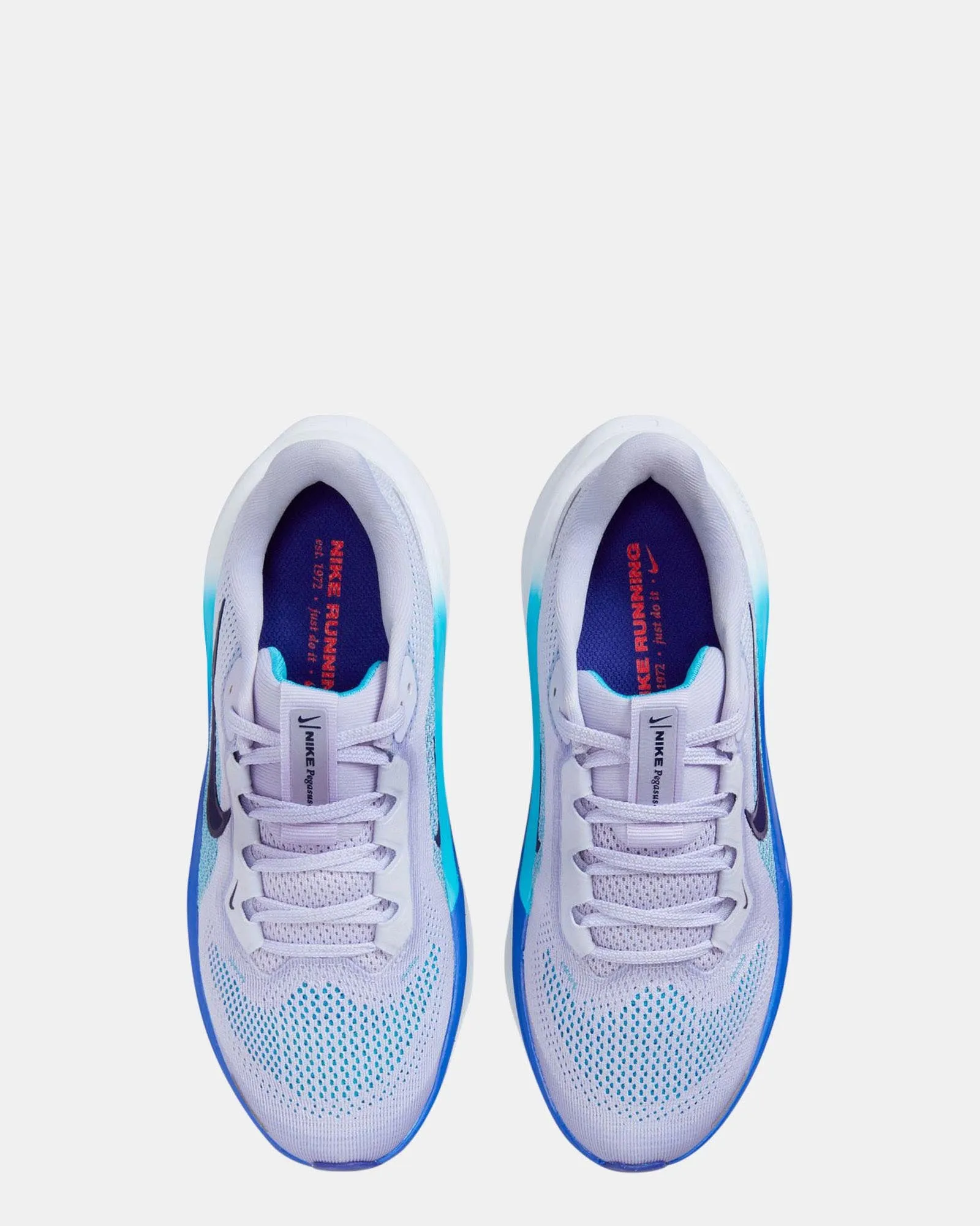Chaussures Nike Kids Air Zoom Pegasus 41 Grade School Fantôme/Bleu Vide/Gris Football