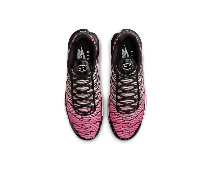 Chaussures Nike Nike Air Max Plus 