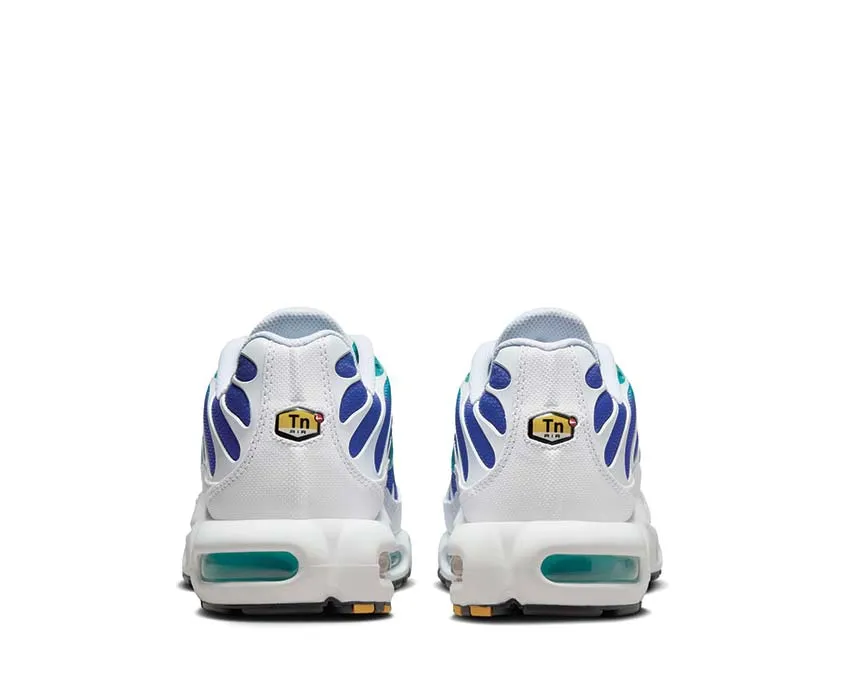 Chaussures Nike Nike Air Max Plus 
