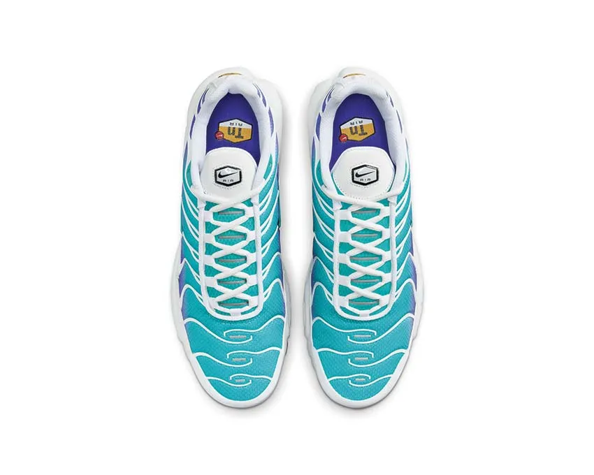 Chaussures Nike Nike Air Max Plus 