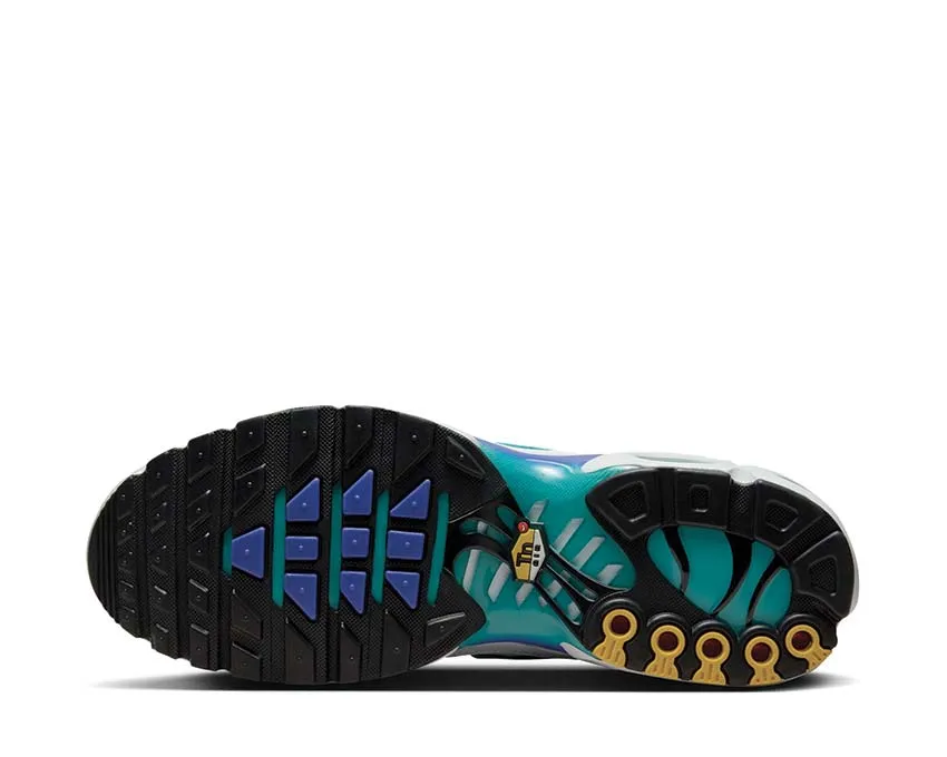 Chaussures Nike Nike Air Max Plus 