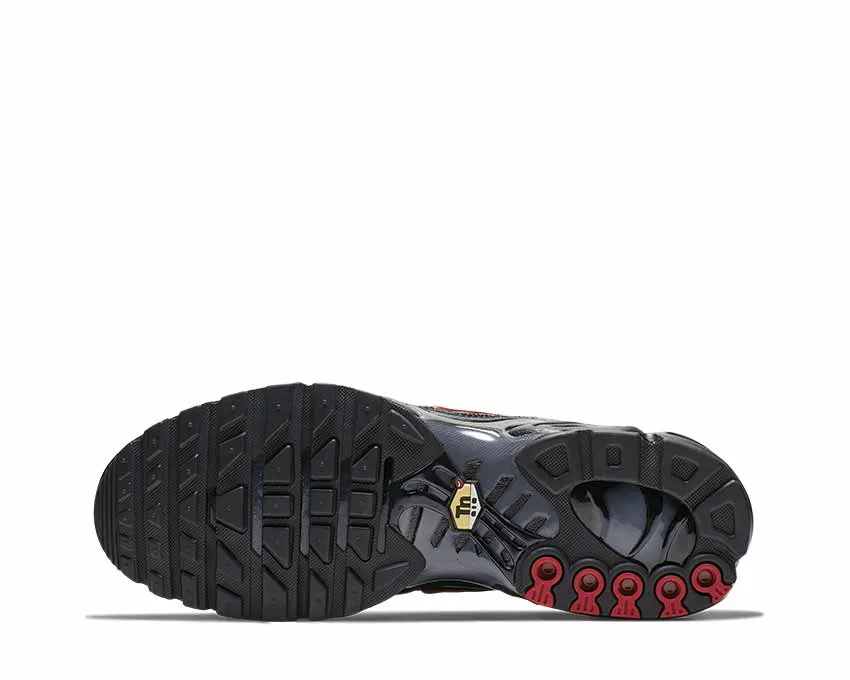 Chaussures Nike Nike Air Max Plus 