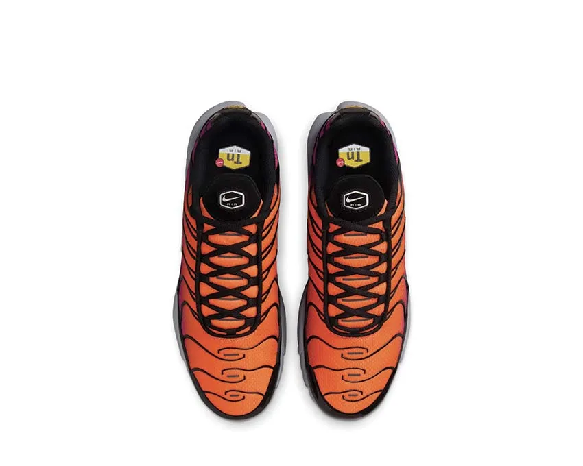Chaussures Nike Nike Air Max Plus 