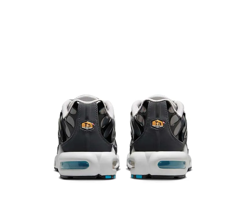 Chaussures Nike Nike Air Max Plus 