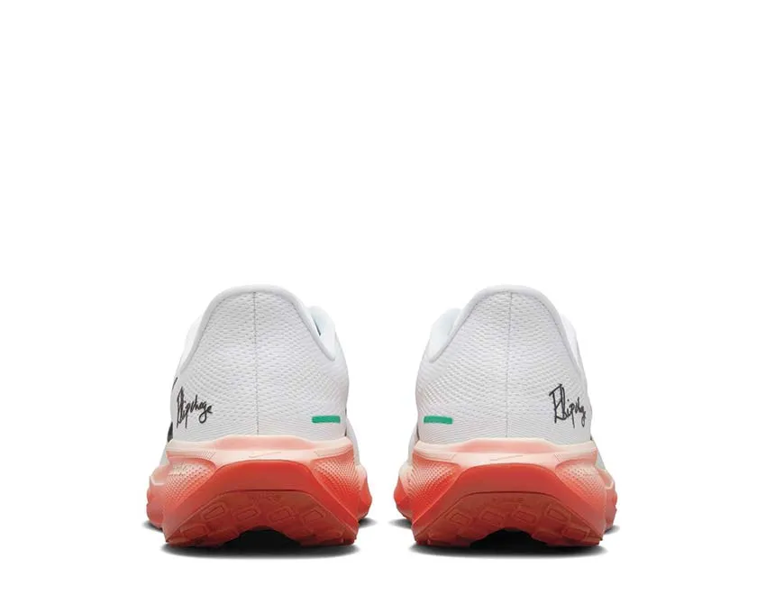 Chaussures Nike Nike Air Zoom Pegasus 41 