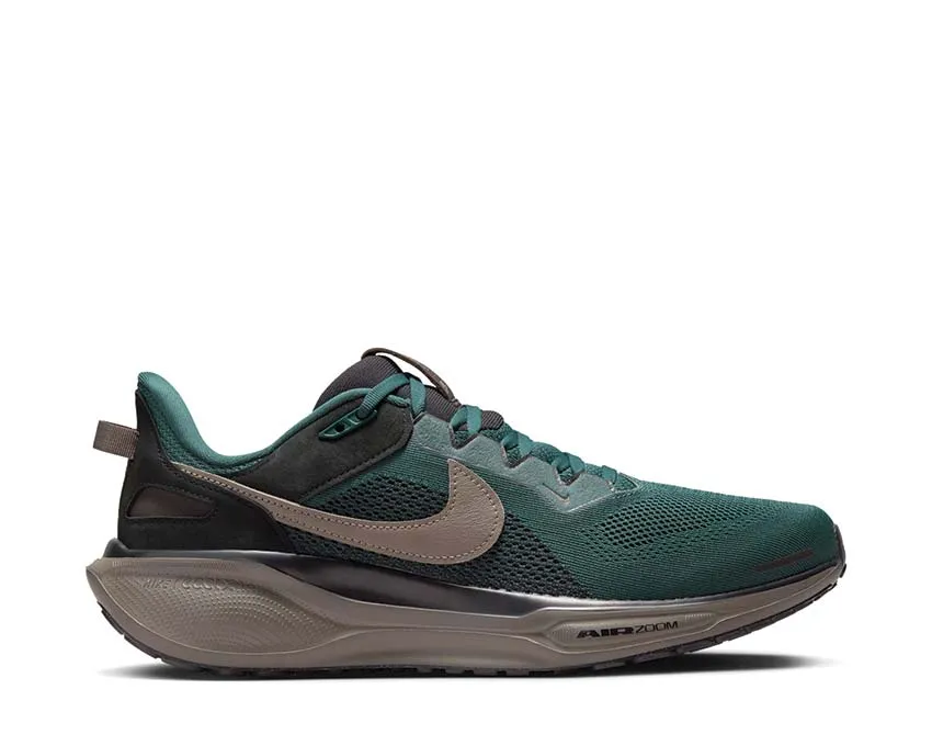 Chaussures Nike Nike Air Zoom Pegasus 41 SP