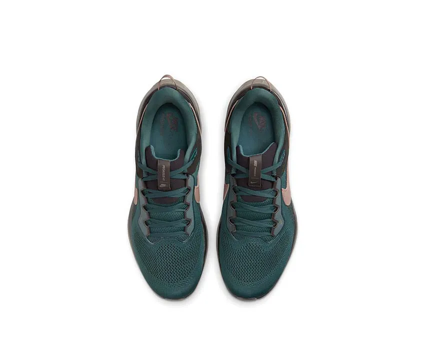 Chaussures Nike Nike Air Zoom Pegasus 41 SP