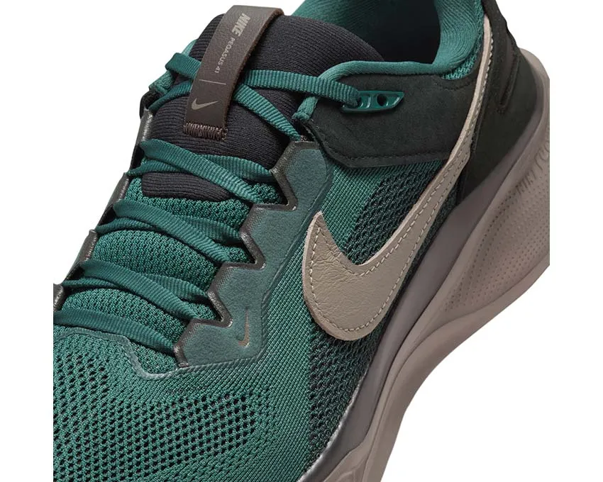 Chaussures Nike Nike Air Zoom Pegasus 41 SP