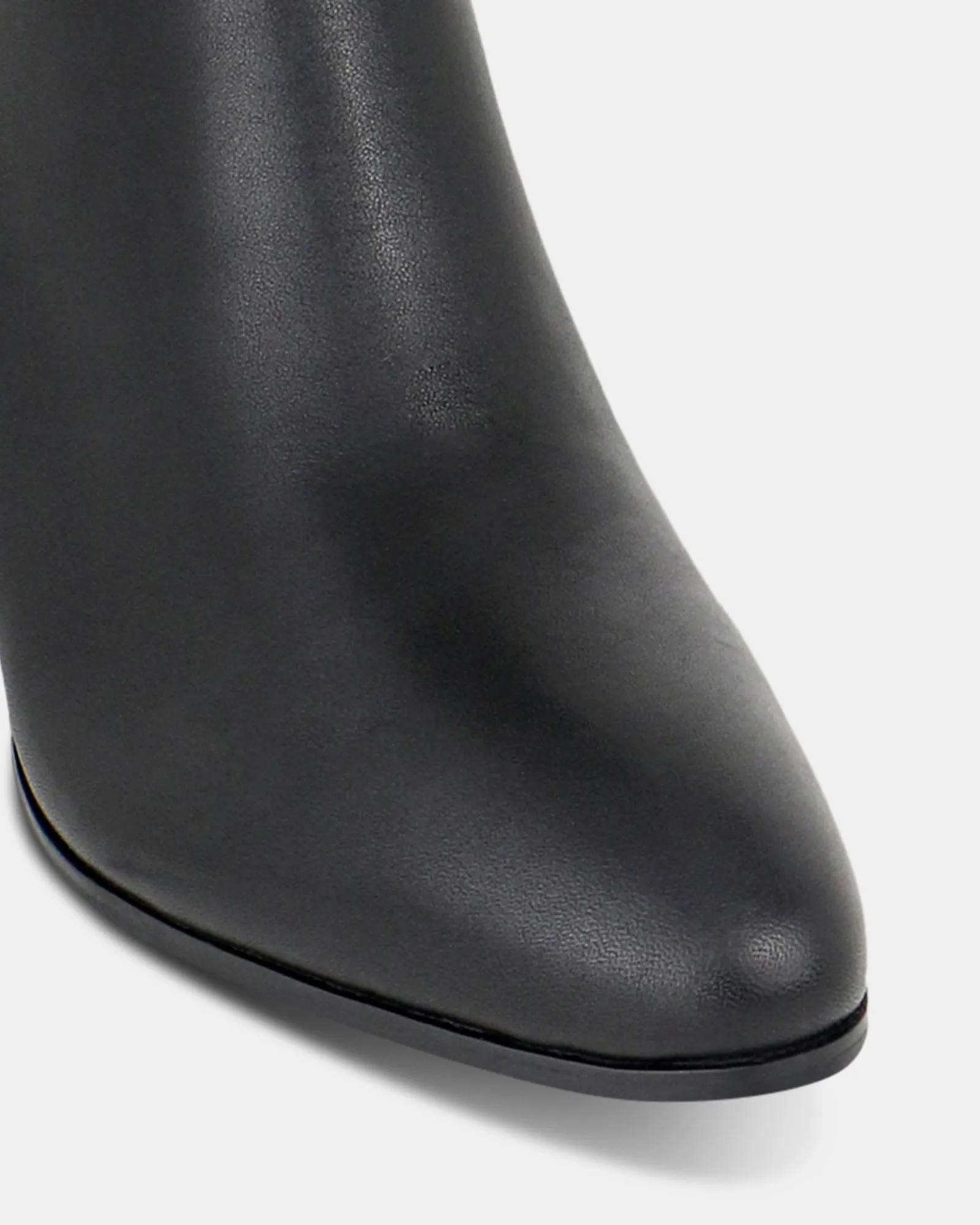 Platys Noir