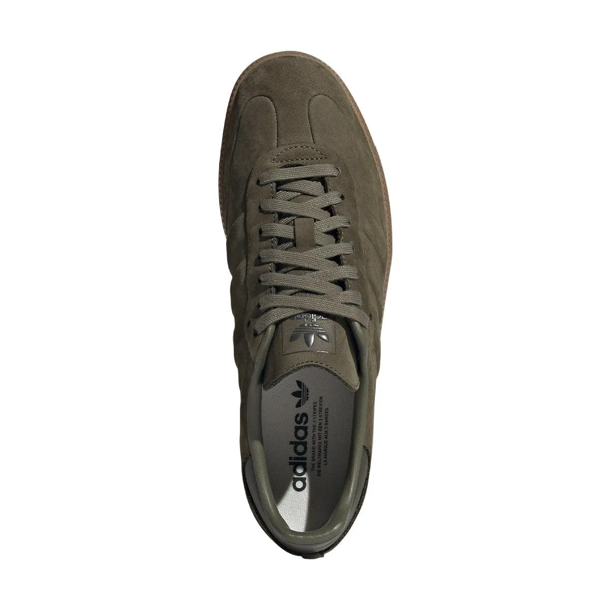 Samba 'Gomme Olive'