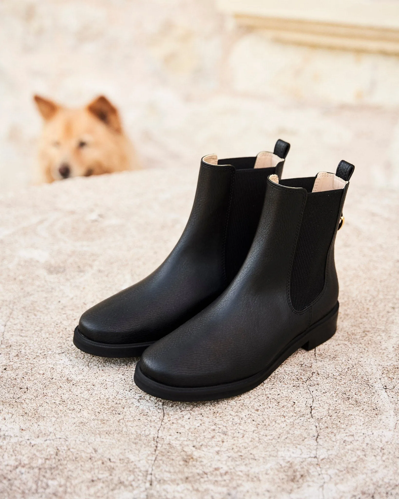 Bottes Chelsea en Simili-Cuir Végan Secret | Noir