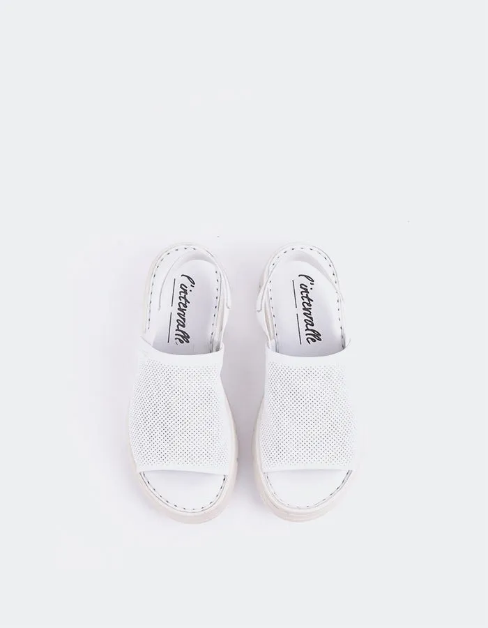 Cuir blanc Solihull