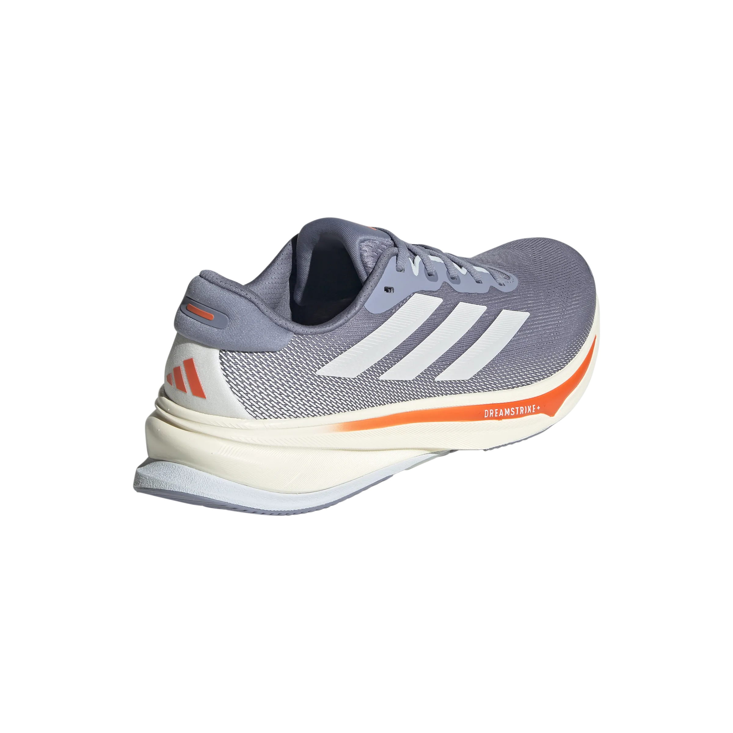 Supernova Rise 2 - Homme