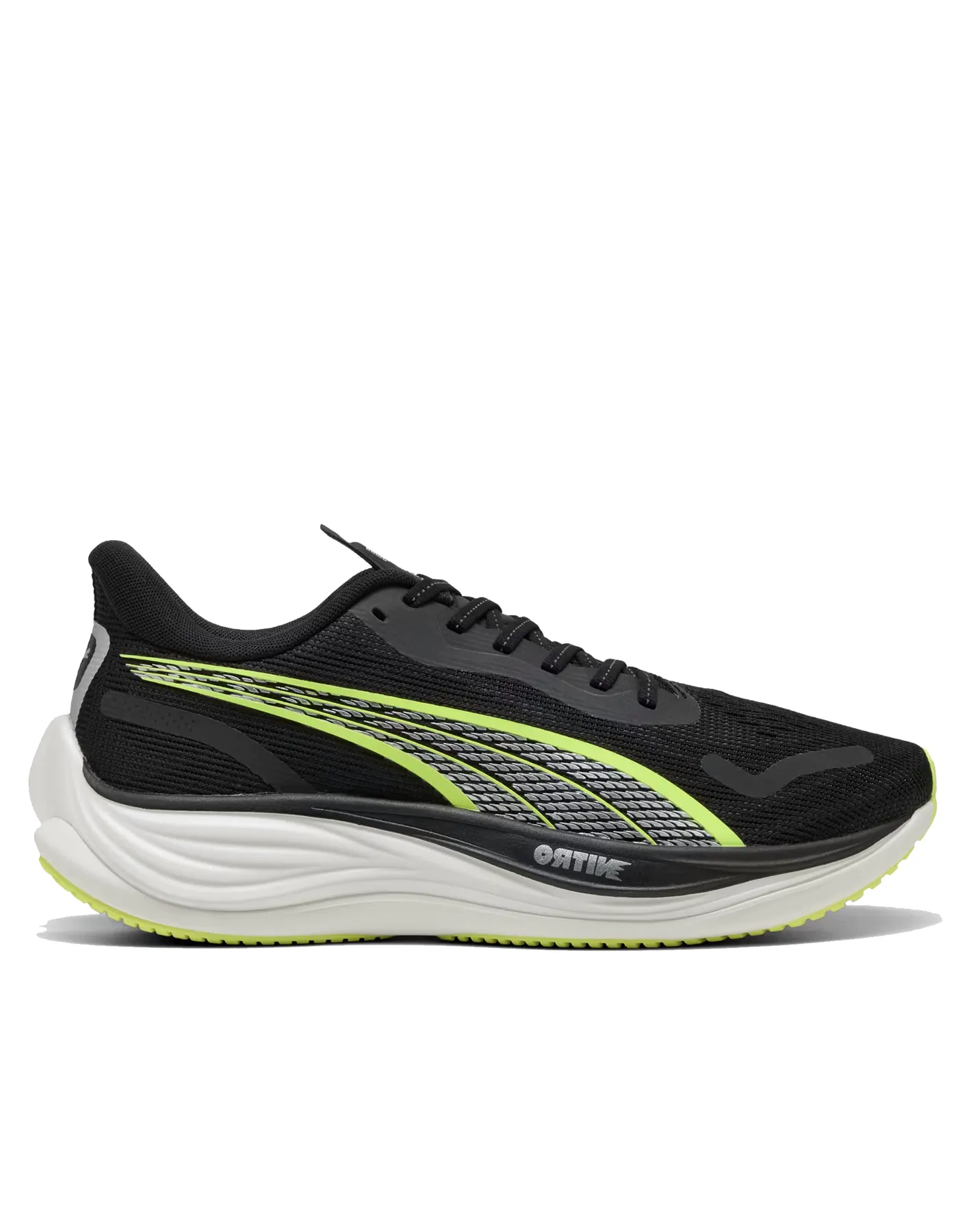Velocity NITRO 3 - Pour Homme