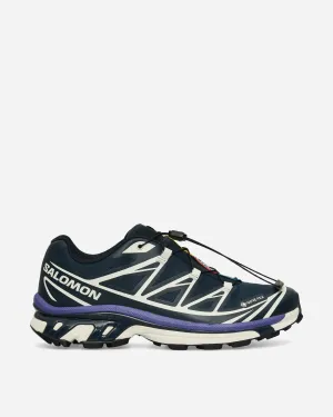 XT-6 GORE-TEX Sneakers Carbone / Glace Vanille / Liberté